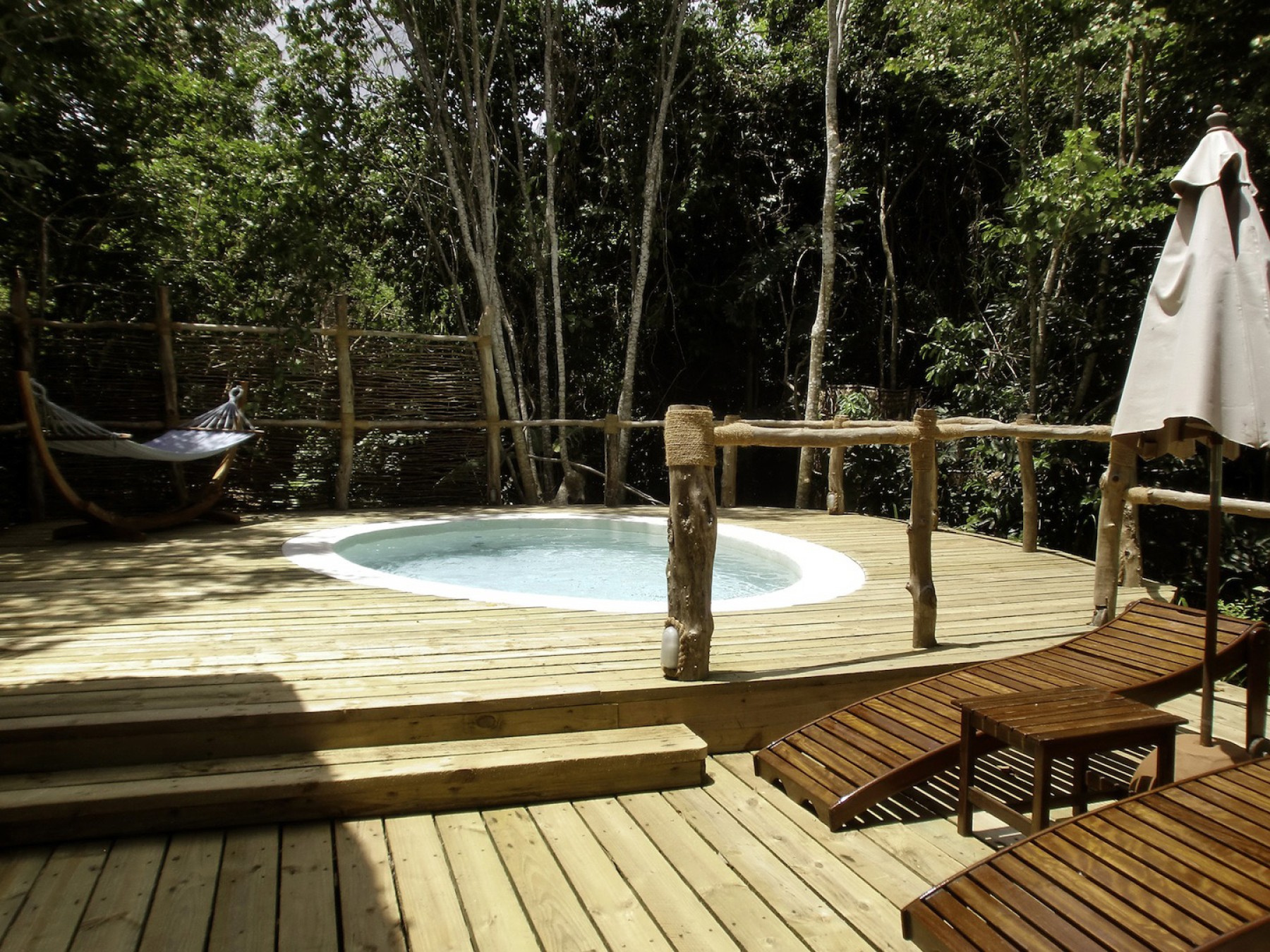 Jungle Suite 